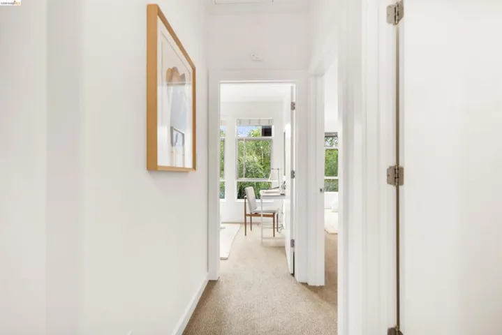 Carpeted hallway leading to a bright room with multiple windows, offering abundant natural light