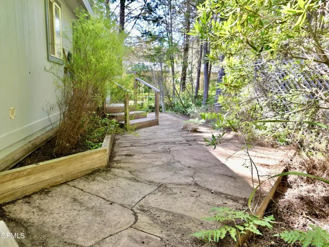Back Patio