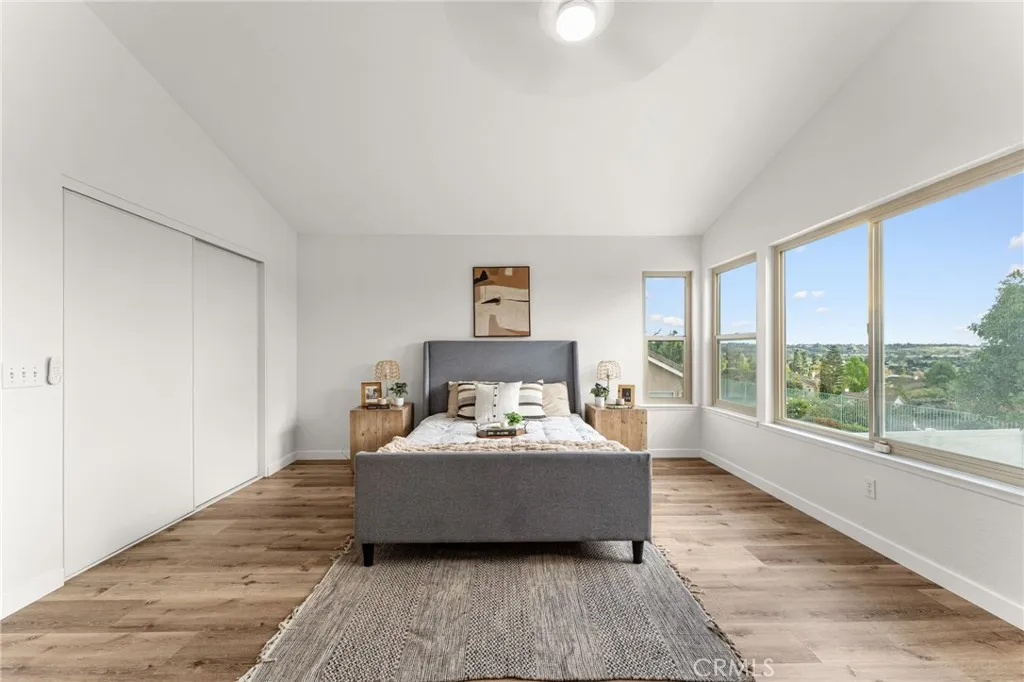 Panoramic Windows