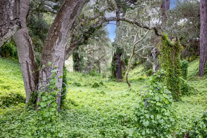 25193 Flanders Drive, Carmel, California 93923