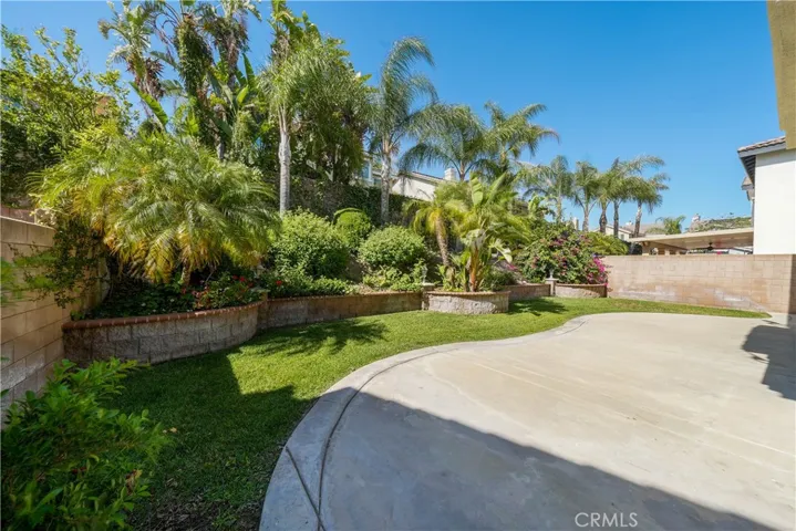 Landscaped Backyard