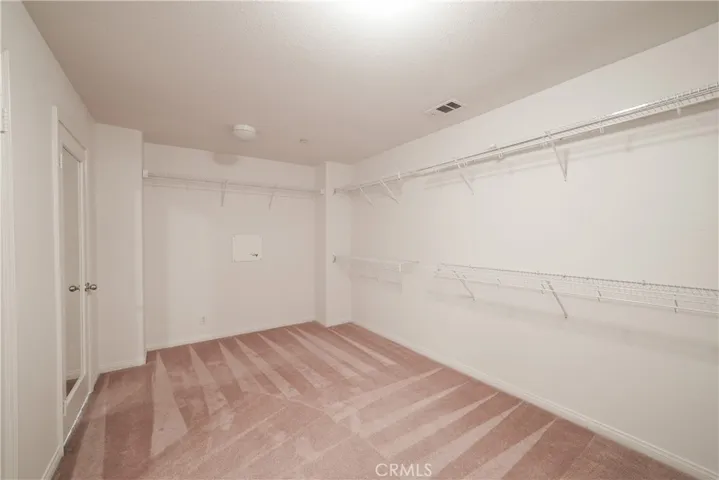 Primary Bath Walk-In Closet
