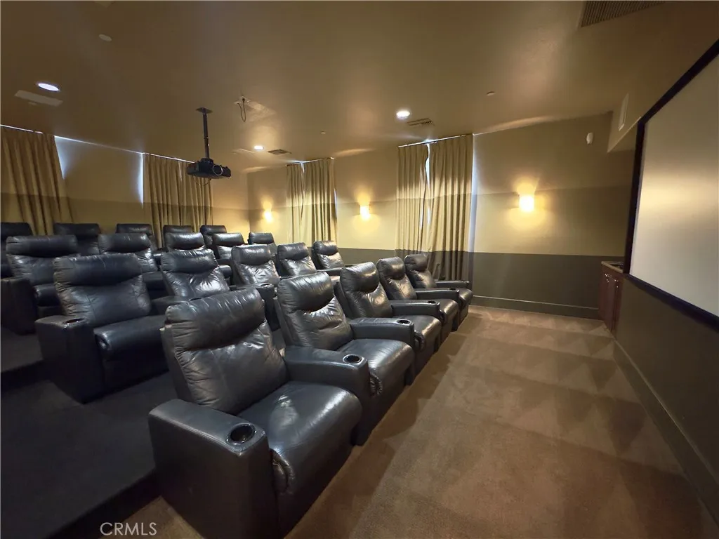 Movie/Screening Room