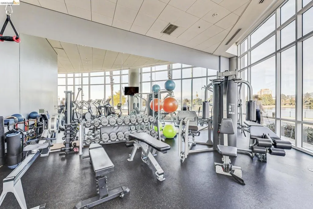 Fitness center featuring full-height windows, a comprehensive selection of exercise equipment, rubber flooring, and a drop ceiling