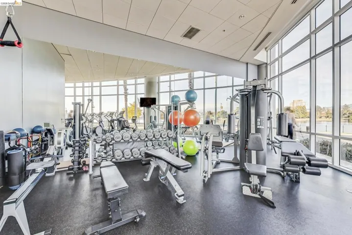 Fitness center featuring full-height windows, a comprehensive selection of exercise equipment, rubber flooring, and a drop ceiling