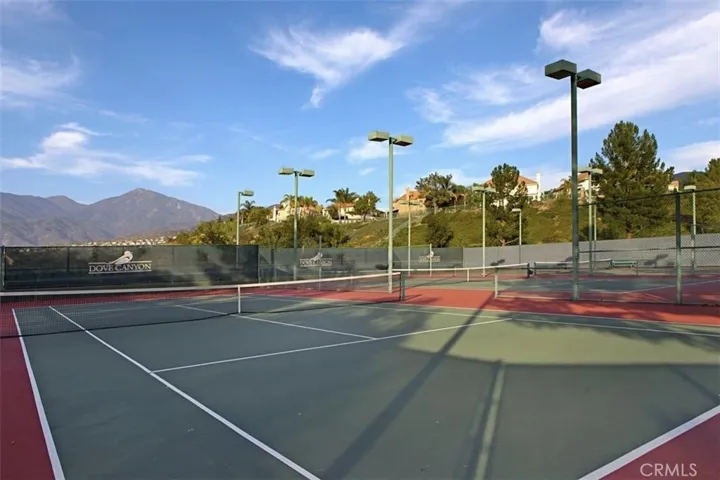 Tennis / Pickleball Courts