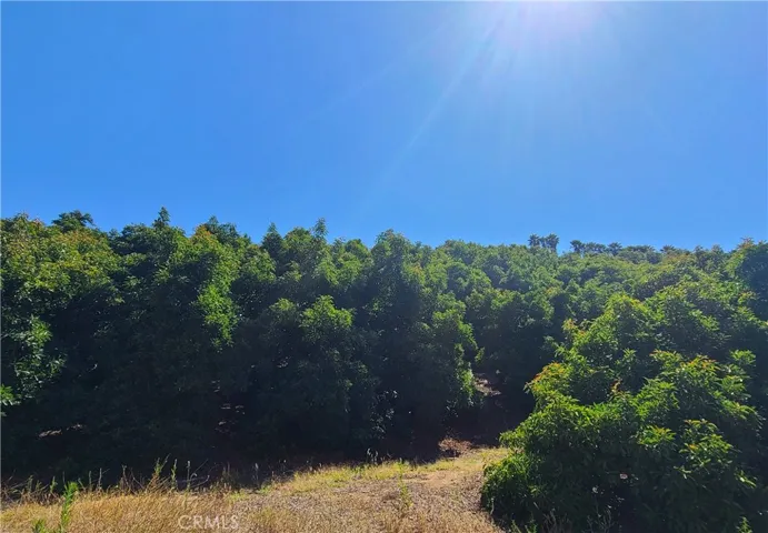 43605 Los Gatos, Temecula, California 92590