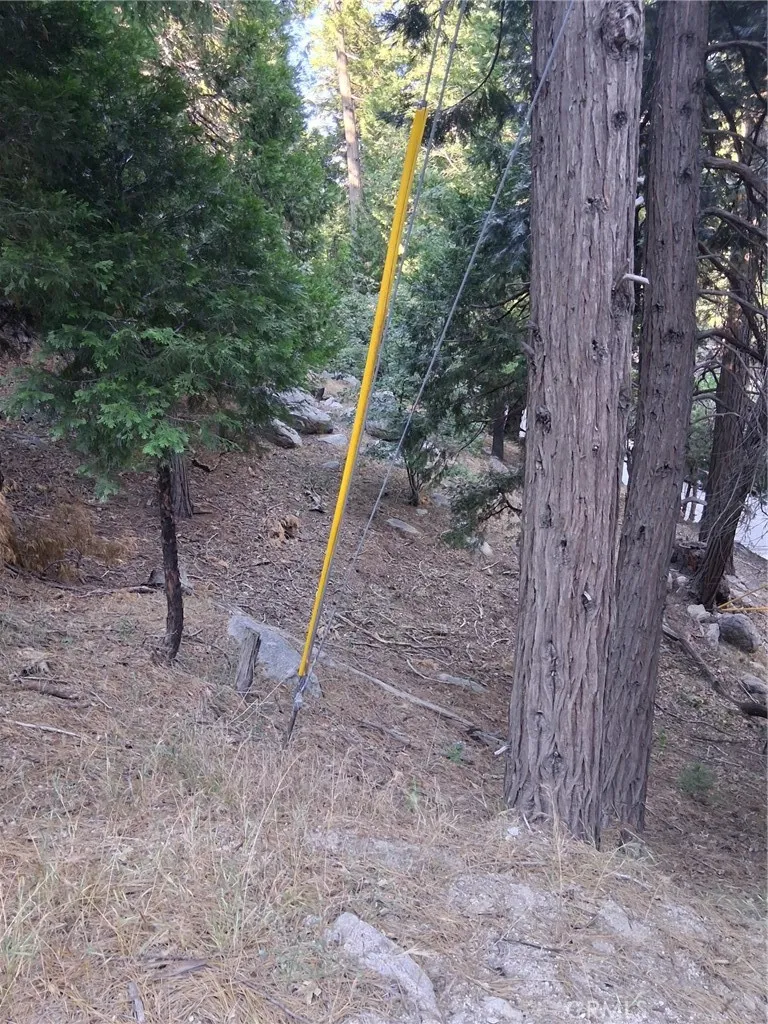 6 Finhaut Drive, Crestline, California 92325 — photo 4