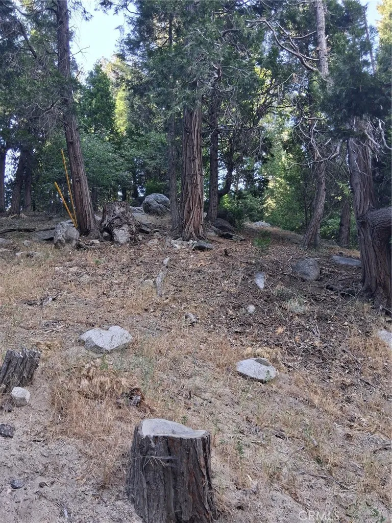 6 Finhaut Drive, Crestline, California 92325 — photo 5