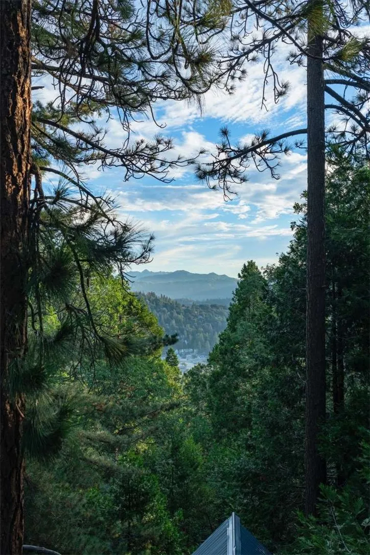 975 Mercury Way, Crestline, California 92325 — photo 4