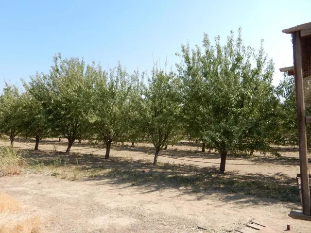 7861 Whitworth Road, Gustine, California 95322