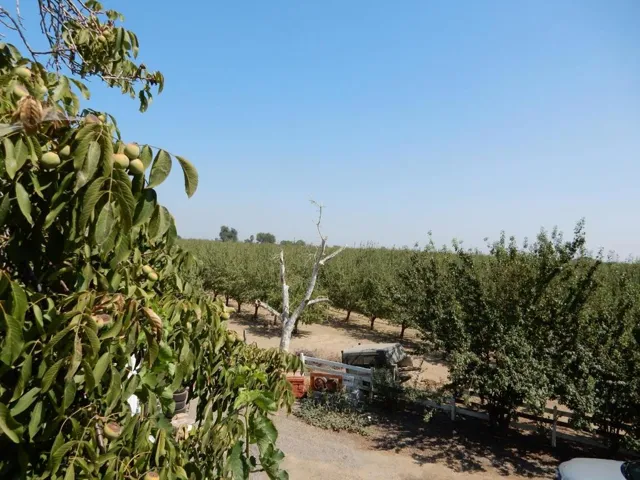 7861 Whitworth Road, Gustine, California 95322