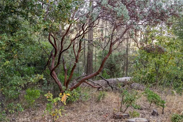 35528 Road 223, North Fork, California 93643