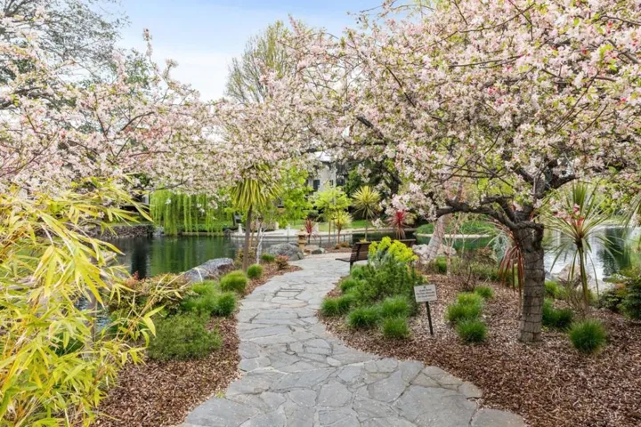 814 N Delaware Street 102, San Mateo, California 94401