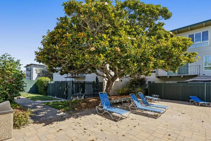 814 N Delaware Street 102, San Mateo, California 94401