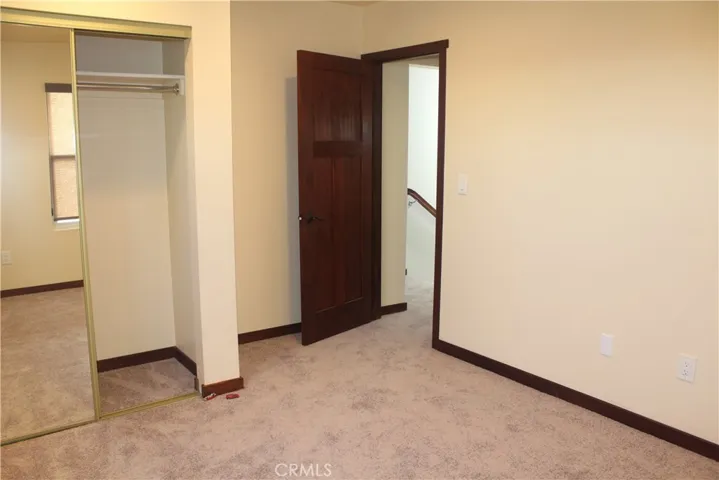 Bedroom closet and door
