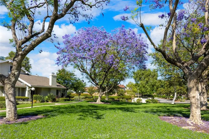 21155 Via Canon 8, Yorba Linda, California 92887