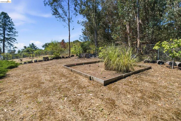 Expansive outdoor space featuring a raised garden bed, mature trees, and a chain-link fence
