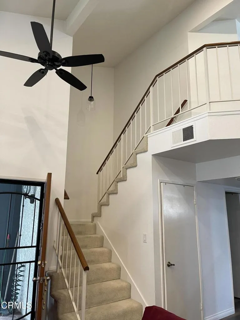 IMG_6706
