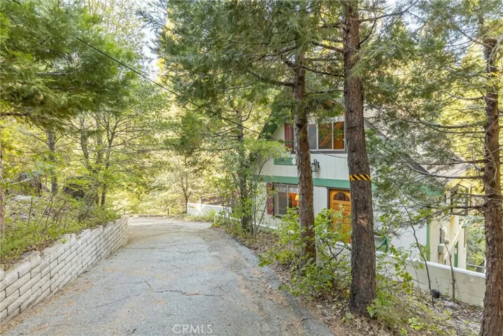 Circular Driveway