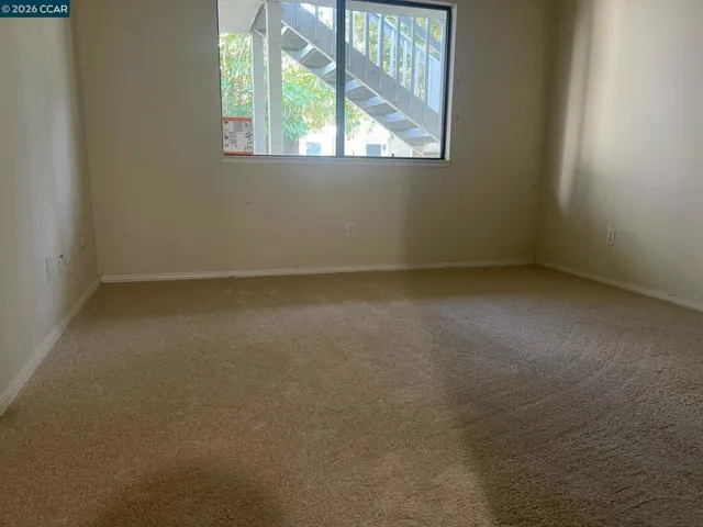 Fresh Carpet