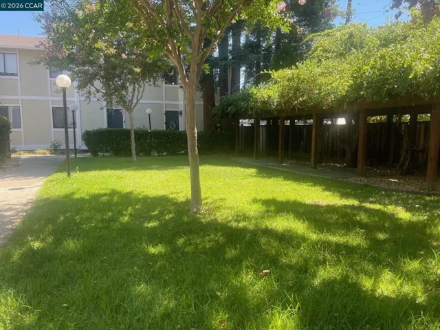 Common Area Courtyard