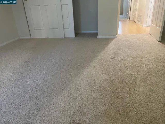 New Carpet