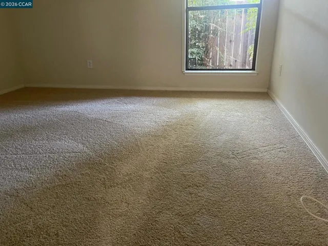 Fresh Bedroom Carpet REAR