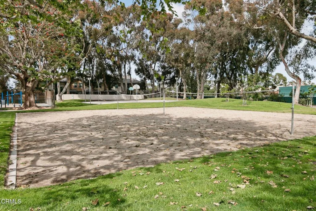 51-web-or-mls-Volleyball Courts