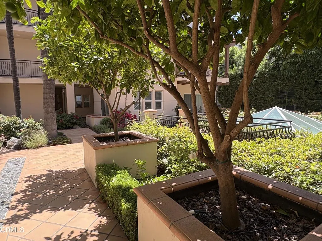 Coutyard