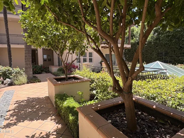 Coutyard