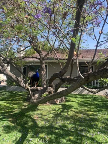 925 El Dorado Street, Monrovia, California 91016
