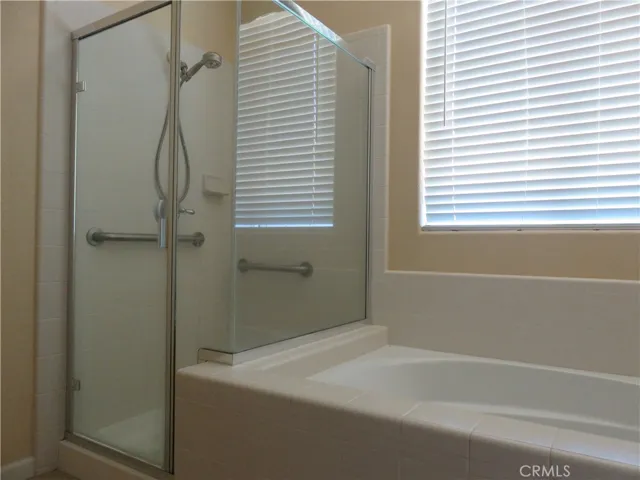 Master Bath Soaking Tub & Shower Stall