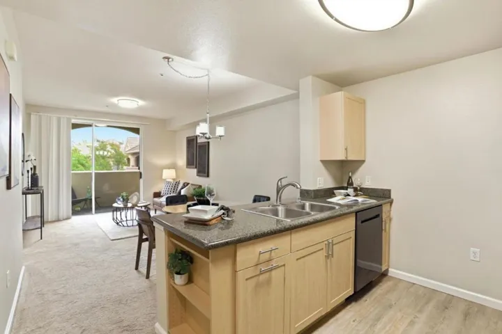 1550 Technology Drive 4106, San Jose, California 95110