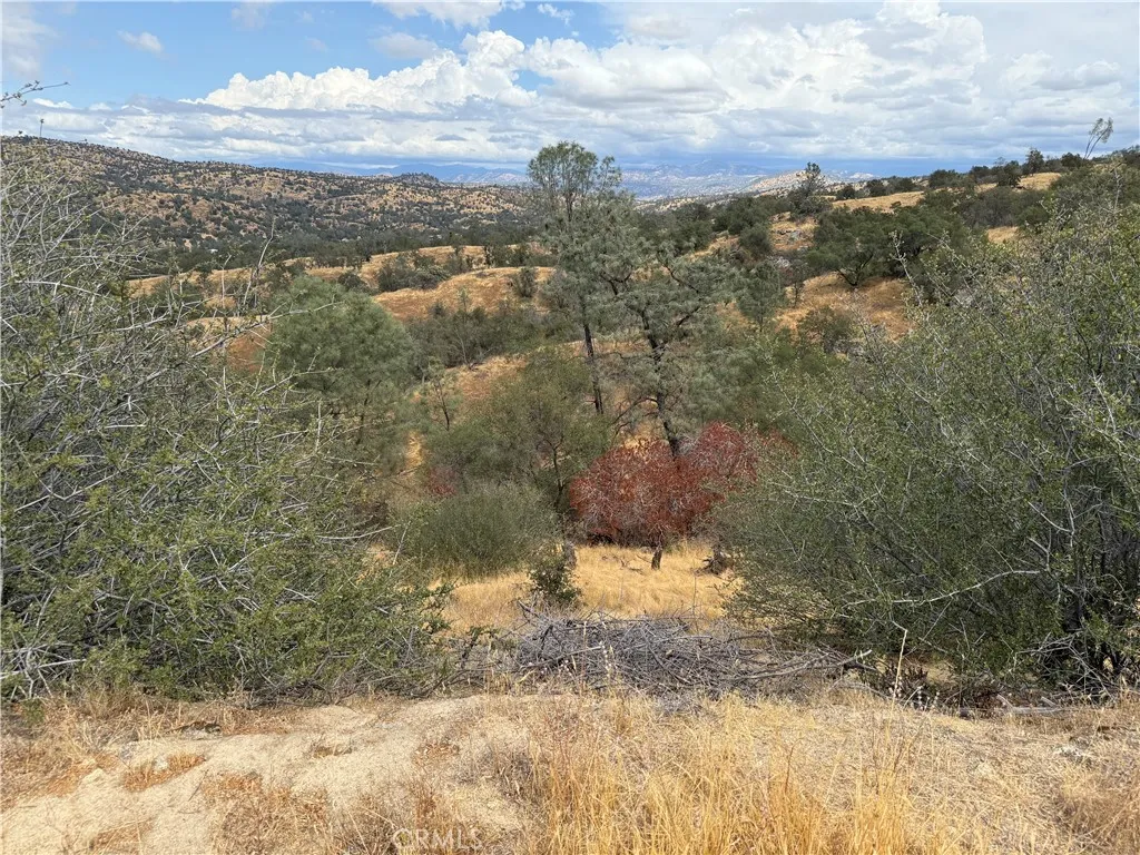 1572 Lot # Lilley Mountain, Coarsegold, California 93614 — photo 4