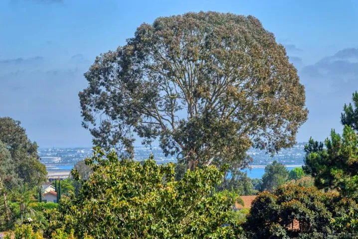 2207 Caminito Cabala, La Jolla, California 92037