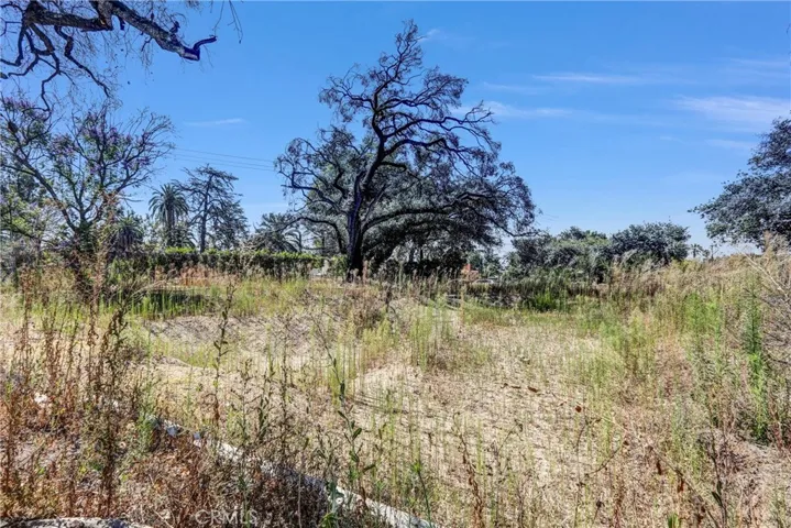1085 Rubio, Altadena, California 91001