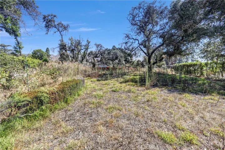 1085 Rubio, Altadena, California 91001