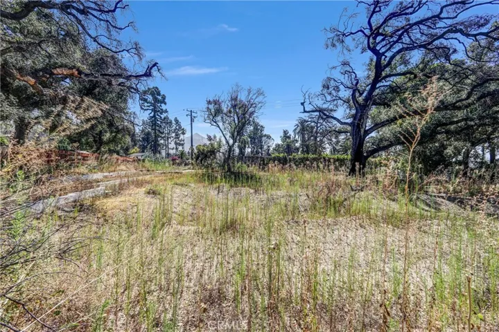 1085 Rubio, Altadena, California 91001