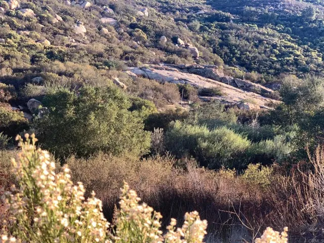 24352 Featherstone Canyon Rd, Lakeside, California 92040