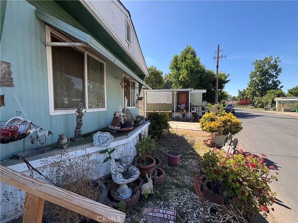 Front Flower Bed