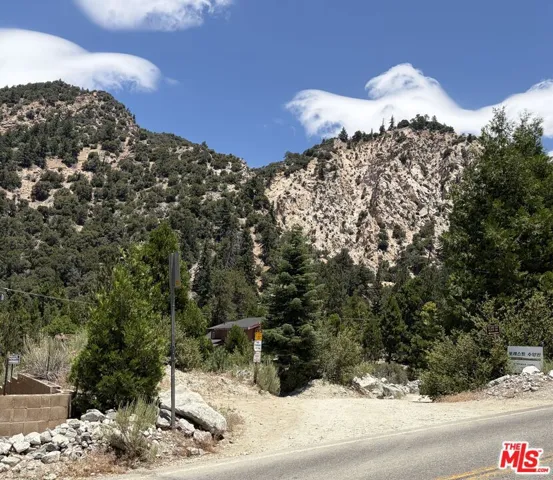 41471 Valley Of The Falls Drive, Forest Falls, California 92339