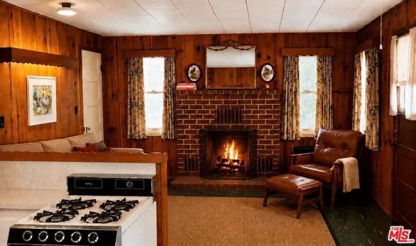 41471 Valley Of The Falls Drive, Forest Falls, California 92339