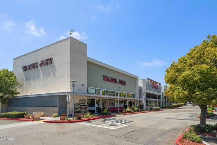 Trader Joes Shopping