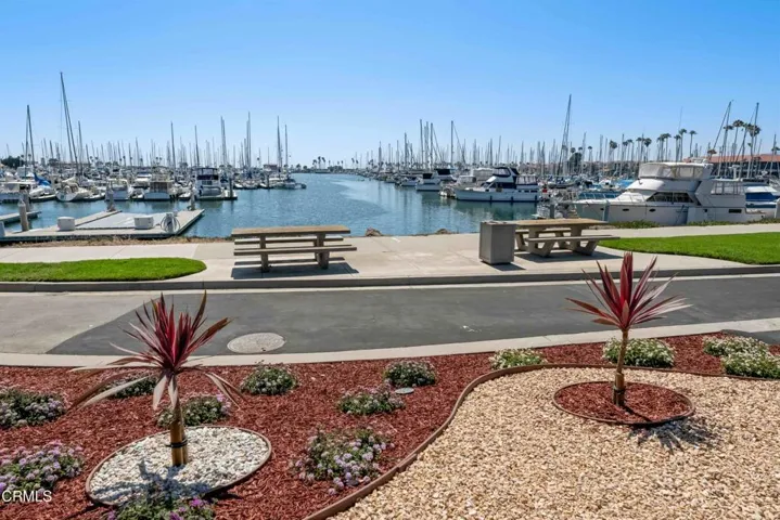 Ventura Marina