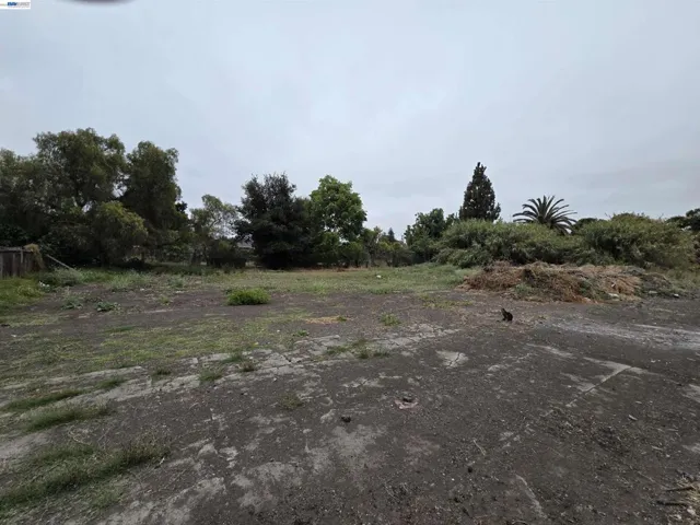 22329 S Garden Ave, Hayward, California 94541