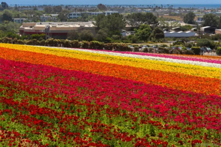 4747 Marina 16, Carlsbad, California 92008