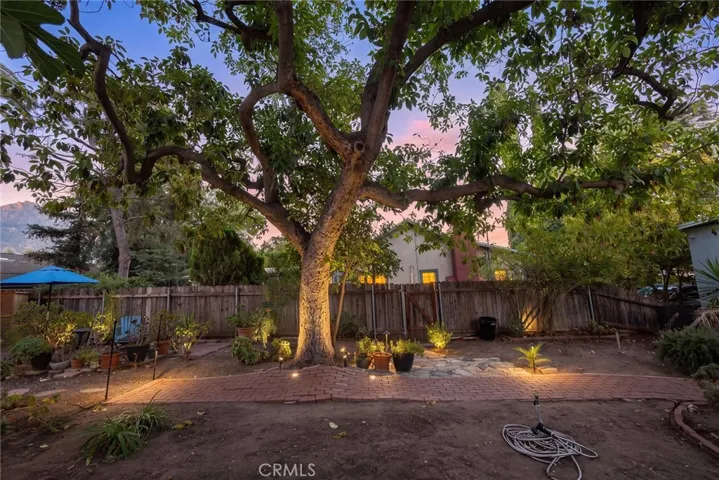 Photos are enhanced with virtual landscape lighting.