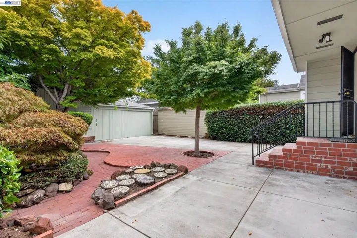Back yard