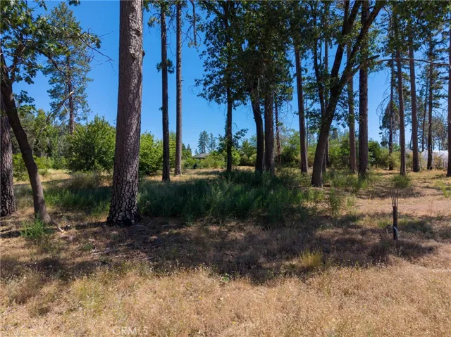 1368 Brill, Paradise, California 95969